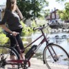 Elcykel EvoBike SPORT-8 250W 2020 - Cherry, dam