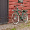 Elcykel EvoBike CLASSIC-7 250W 2020 - Matt olivgrön, herr