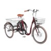 Elcykel Trehjulig Elcykel Evobike Elegant 24 tum 250W 2021 - Röd