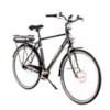 Elcykel EvoBike ECO-7 250W - Brilliantsvart, herr