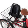 Trehjulig Elcykel Evobike Elegant 250W 2020 - Röd