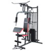 Hemmagym Multigym 2000 - 100 kg vikter