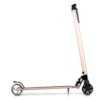 Elscooter Nitrox Alu-5 250W - Guld
