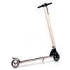 Elscooter Nitrox Alu-5 250W - Guld