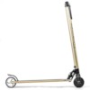 Elscooter Nitrox Alu-5 250W - Guld
