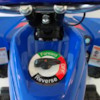 Elektrisk Mini ATV, VIPER II, 800W - Grön