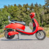 Elmoped Evolite Viverra Doohan 1200W - Mattröd