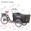 Elcykel Lådcykel EvoBike Cargo 250W
