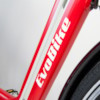 Elcykel EvoBike ECO-3 250W 2017-2018 - RÖD/LJUSGRÅ, dam