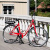 Elcykel EvoBike ECO-3 250W 2017-2018 - RÖD/LJUSGRÅ, dam