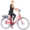 Elcykel EvoBike ECO-3 250W 2017-2018 - RÖD/LJUSGRÅ, dam