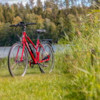 Elcykel EvoBike SPORT-8 500W - Rubinröd, dam