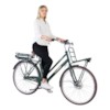 Elcykel EvoBike CLASSIC-3 250W 2017-2018 - OLIVGRÖN, dam