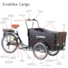 Elcykel Lådcykel EvoBike Cargo, 250W - Omonterad