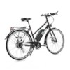 Elcykel EvoBike SPORT-8 250W - Mattsvart, dam