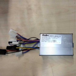 Elektronikbox 1000W 36V DMHC
