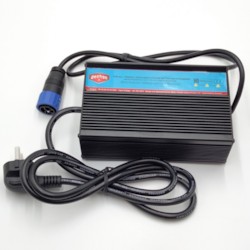 Laddare 60V 5A till Elmoped Doohan City